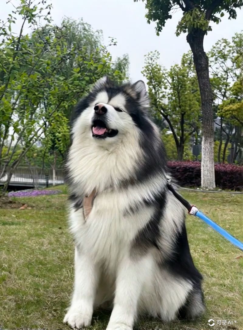 视频缩略图