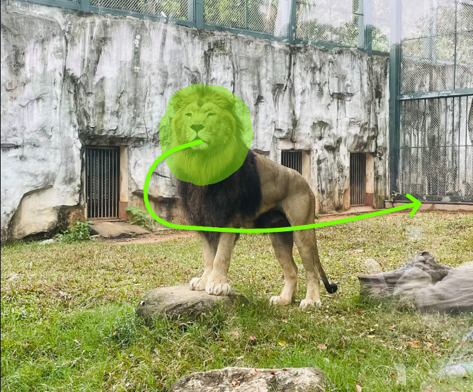 Motion Brush (12)