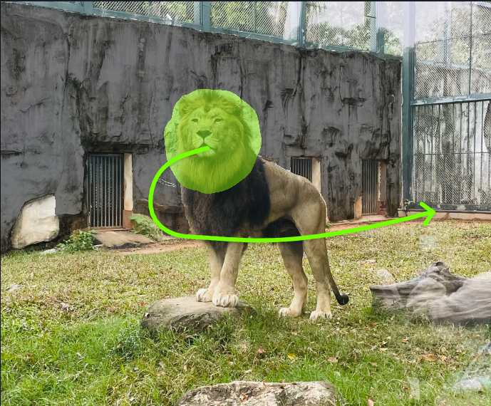 Motion Brush (13)